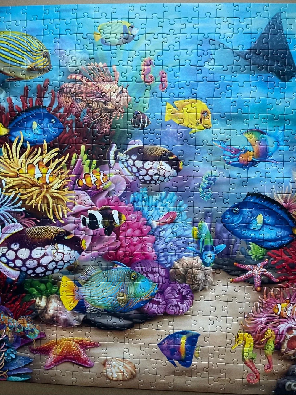 Ravensburger 750-Piece Large Piece Format   Puzzle Colorful Ocean Scene